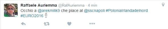 tweet auriemma