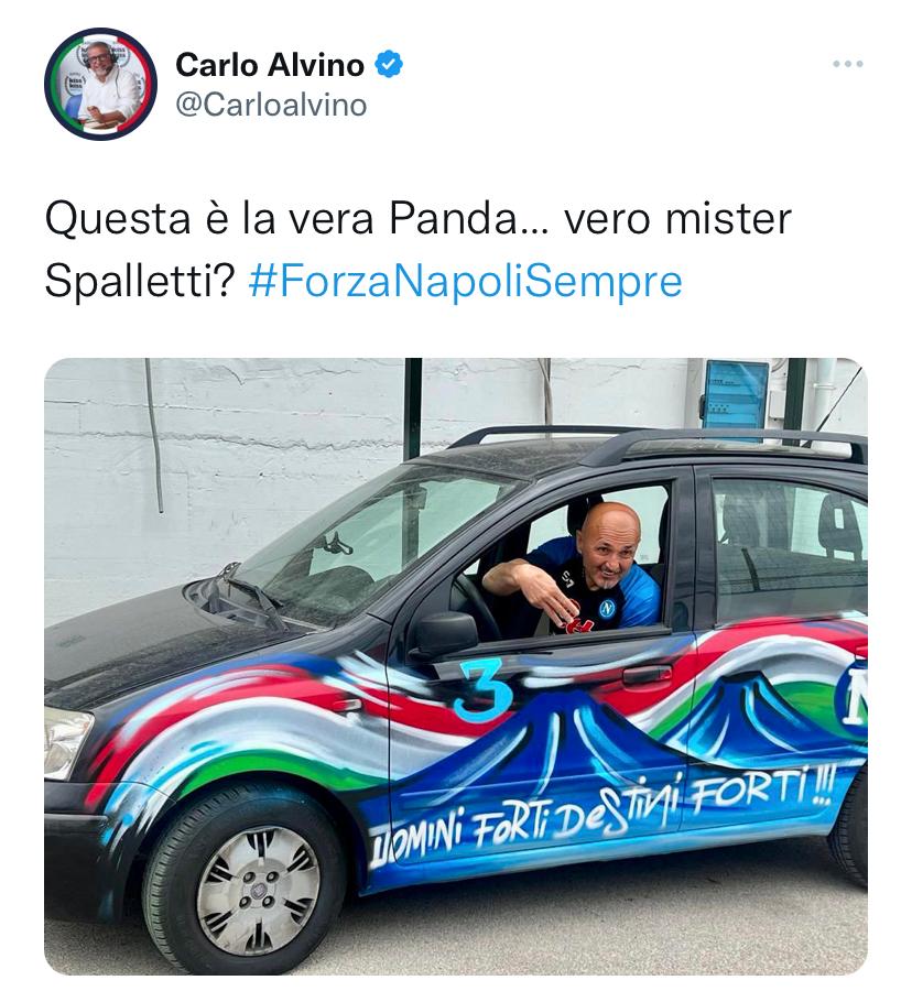 Spalletti panda