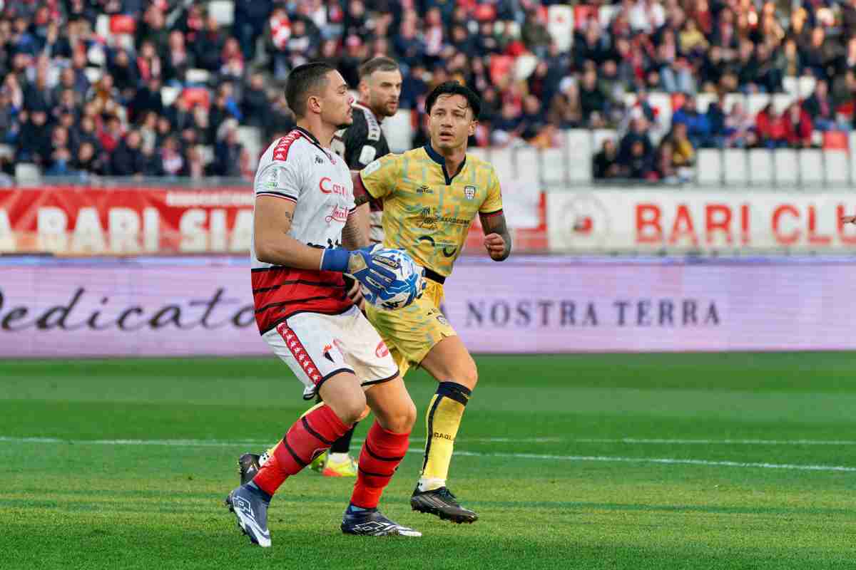 Caprile vicino al Napoli