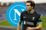 Federico Chiesa aspetta il mercato